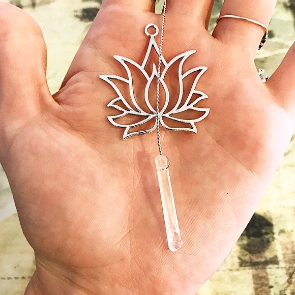 Custom Lotus Ideas - Picture 6 of 6